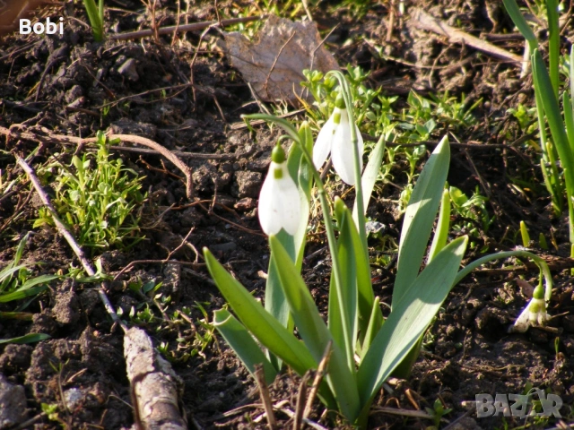 Fujifilm FinePix S5700, снимка 7 - Фотоапарати - 53655589