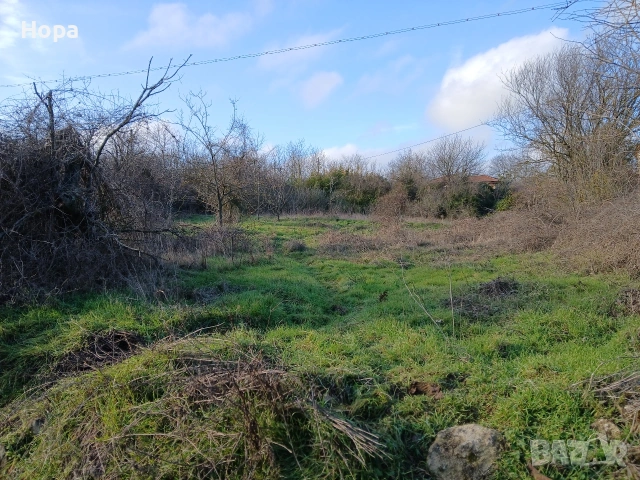 Продавам дворно място в с.Аврен