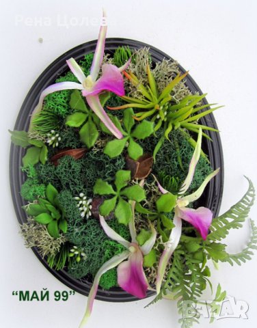 Комплект пана със скандинавски мъх и цвят орхидея, снимка 2 - Пана - 35982530