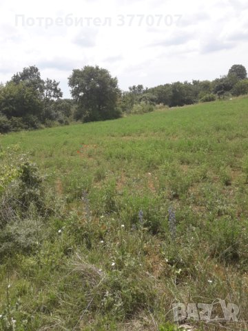 Супер атрактивна земя село Яребичнa 3 430kв м, снимка 2 - Земеделска земя - 41573906