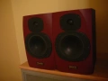 TANNOY REVEAL  MONITORNI, снимка 5