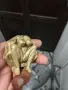 Позлатени и антикварни неща, снимка 2