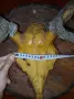 Трофей с рога на благороден елен, снимка 5