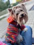 Плетена дрешка за куче по Индивидуален размер Различни цветове , снимка 1