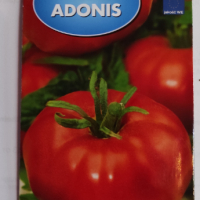 Семена домат "АДОНИС", снимка 1 - Сортови семена и луковици - 44700967