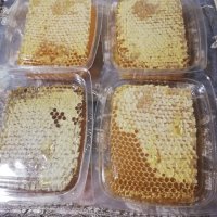ПРОМОЦИЯ Биологичен пчелен мед, снимка 7 - Пчелни продукти - 42046467