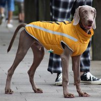  Кучешко яке за средни и едри породи кучета Дрехи за средни и едри породи Кучешки дрехи , снимка 2 - За кучета - 34633097