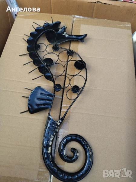 Морско конче за декорация, снимка 1