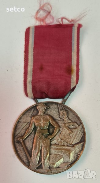ФРАНЦИЯ, колония АЛЖИР медал на Travaux Publics поименен, 1947 година, снимка 1