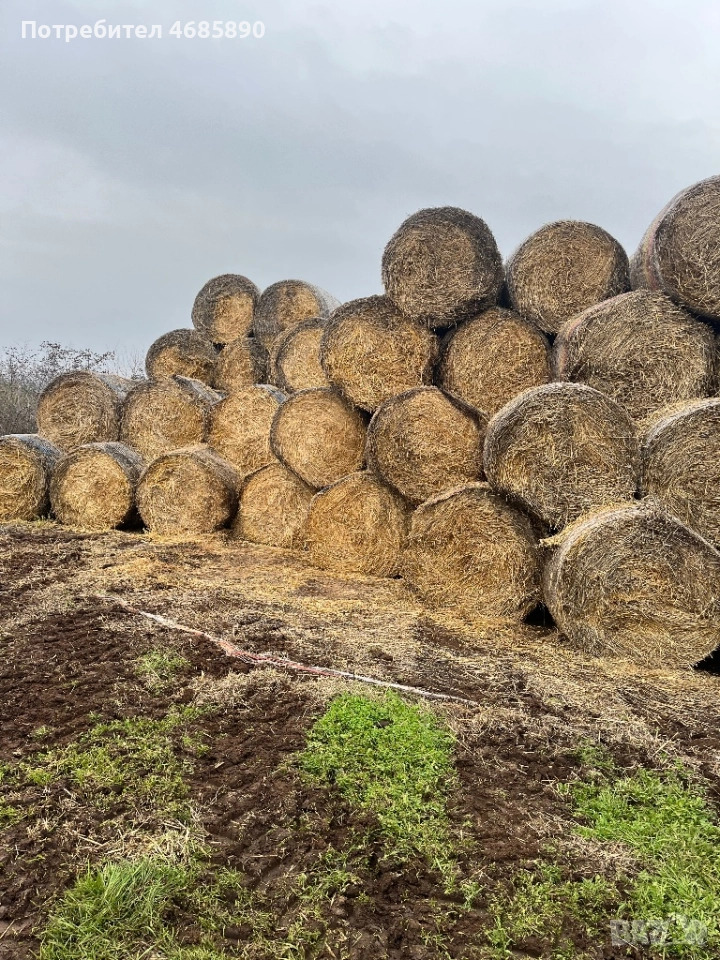 Рулони бали слама , снимка 1