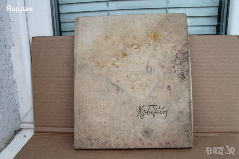 Книга на Христо Ботев, снимка 1