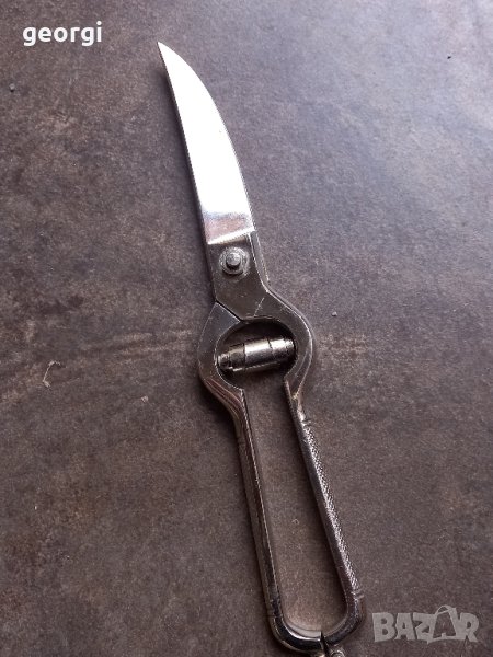ножица за пиле Solingen , снимка 1