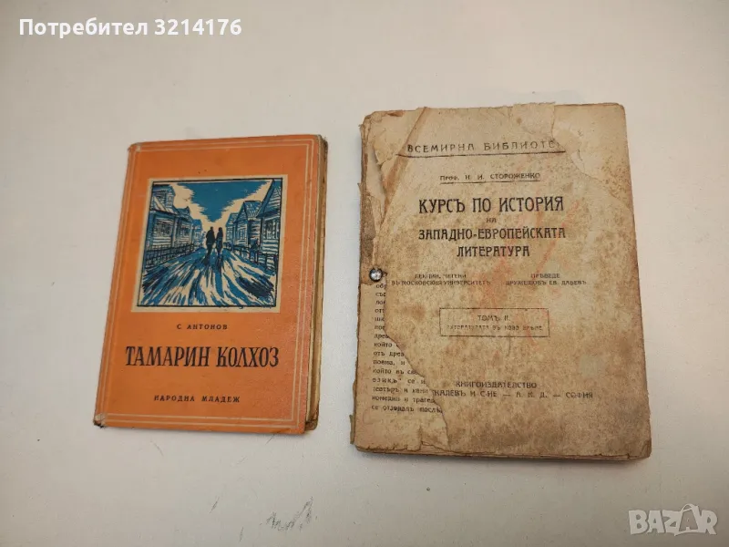 Курс по история на западно-европейска литература. Том 2. Литературата в ново време - Н.И. Стороженко, снимка 1
