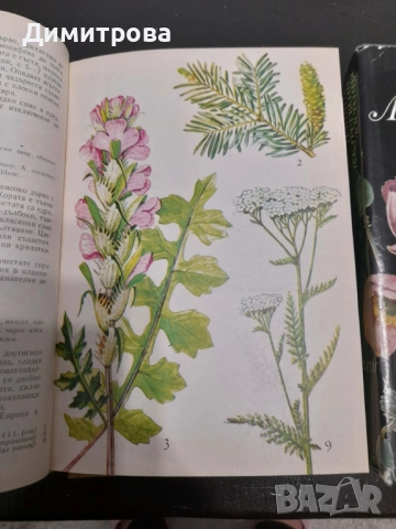 Книги Нашите лекарствени растения д-р Нено Стоянов част 1 и 2, снимка 5 - Енциклопедии, справочници - 52765450