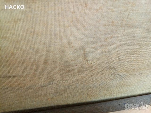 Стара Маслена Картина Разписана от Автора 1932г.Размери 50/40 см. Внос от Германия, снимка 10 - Антикварни и старинни предмети - 53047110