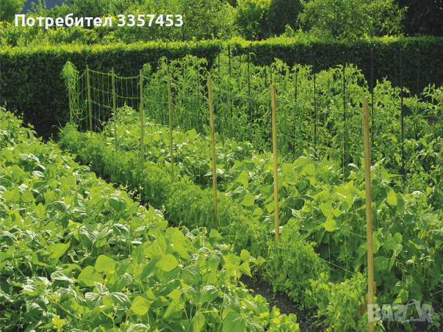 Мрежа за краставици, снимка 1