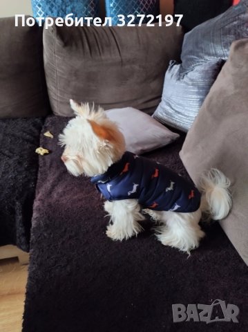 Зимно топло яке за кучета Ropa Para Perro, снимка 8 - За кучета - 41015208