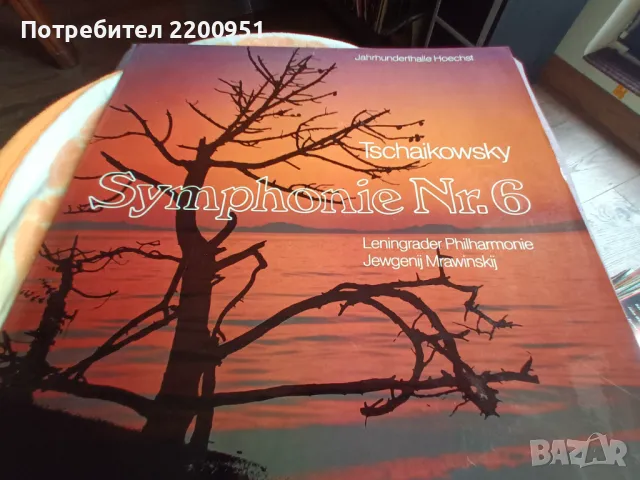 PETER TSCHAIKOWSKY, снимка 1