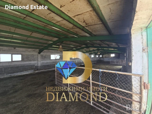 Овцеферма в село Голямо Асеново обл. Хасково, снимка 13 - Други - 50680863