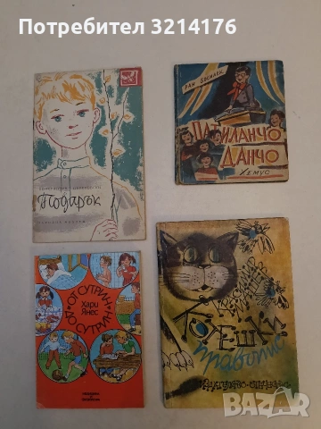 Котешки правопис - Красимир Машев 