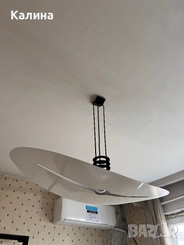 Полилей, снимка 2 - Полилеи - 52369094