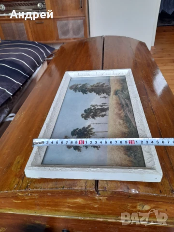 Стара картина #22, снимка 4 - Картини - 50715708