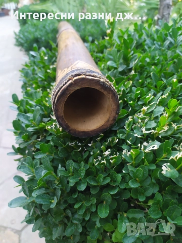 Диджериду 125см., снимка 5 - Духови инструменти - 51526977