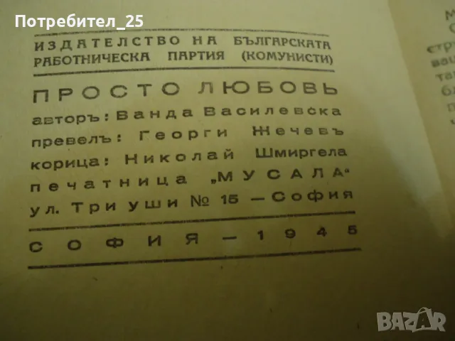 Просто любов - Ванда Василевска, снимка 8 - Художествена литература - 49002014