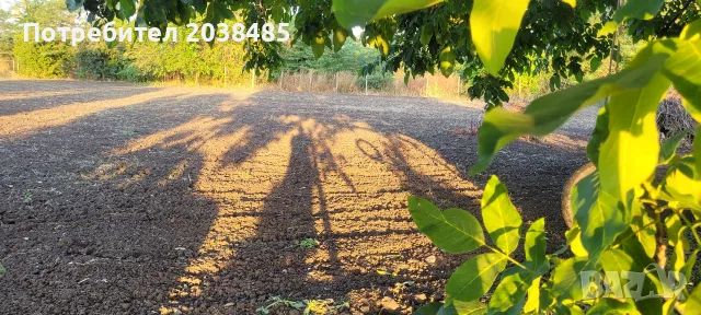 Продавам дворно място в Равнец област Бургас 