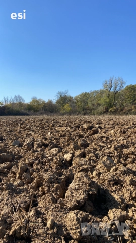 7 Дка – Рента 100 ЛВ/ДКА – от Собственик, снимка 3 - Парцели - 52516508