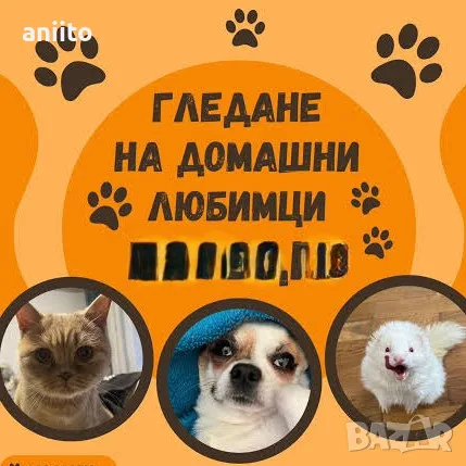 Варна.Доверен Гледач за Твоя Любимец-от 27-ми за 1 седмица.Безплатно