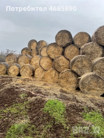 Рулони бали слама 