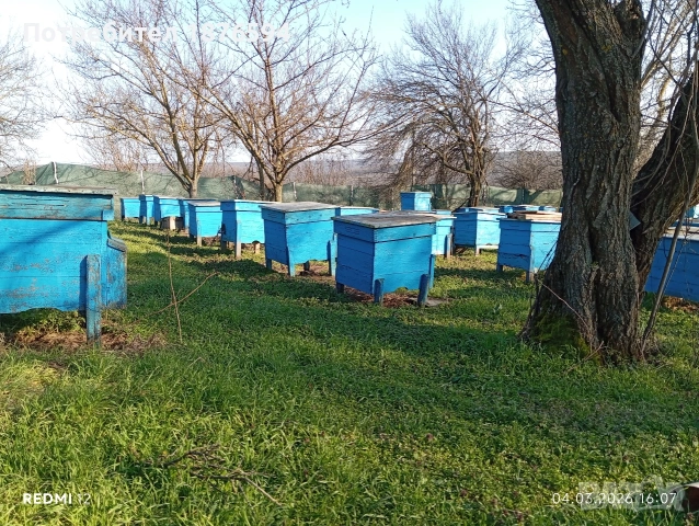 Пчелни кошери, снимка 2 - За пчели - 53716298