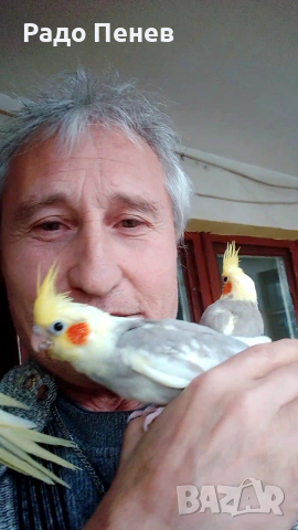 Корели - Социални малки сладури, двумесечни :)