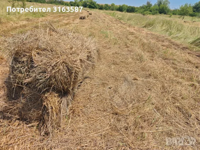 Бали сено и слама, снимка 3 - За селскостопански - 56303164