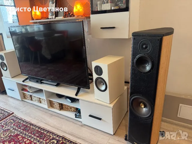 Esthetic Audio RAAL bookshelf speakers, снимка 8 - Тонколони - 50133851