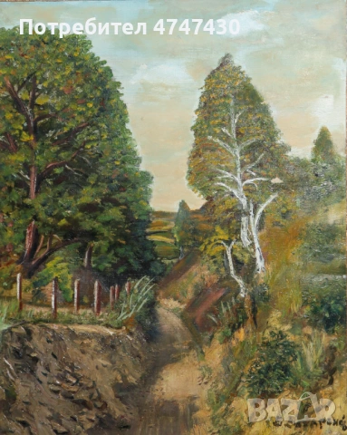 Воин Захаренов маслени бои пейзаж, снимка 6 - Картини - 53629847