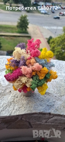 Дърво със скандинавски мъх , снимка 7 - Други - 47986457