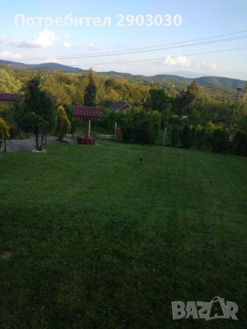  Косене на Трева и почистване на дворове от  Бурени Рязане на Дърва за Огрев , снимка 3 - Други - 36622750