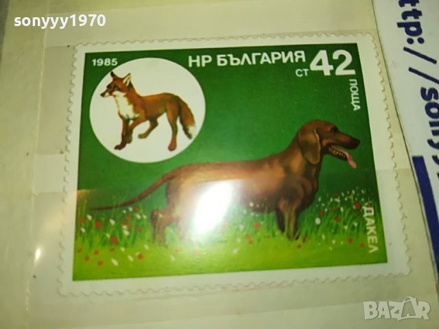 МАРКА 5 НРБ 1985 ДАКЕЛ 1203231626, снимка 4 - Филателия - 39972980