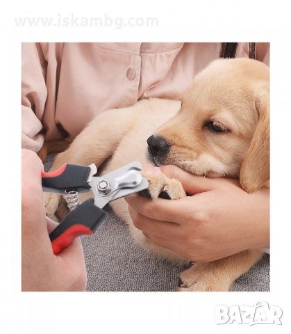 НОКТОРЕЗАЧКА И ПИЛИЧКА ЗА НОКТИ ЗА КУЧЕТА И КОТКИ - код  2986, снимка 7 - Други стоки за животни - 33904407