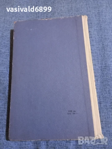 Мигел де Карион - Порочните , снимка 4 - Художествена литература - 51276482