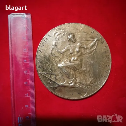 Плакет,медал 1905г. бронз, снимка 2 - Колекции - 48823660