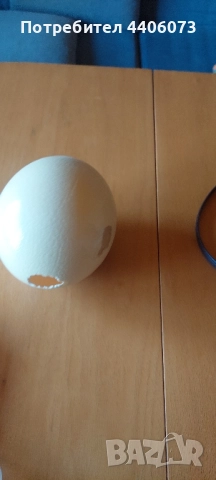 продавам черупка от щраусово яйце, снимка 2 - Декорация за дома - 51438962