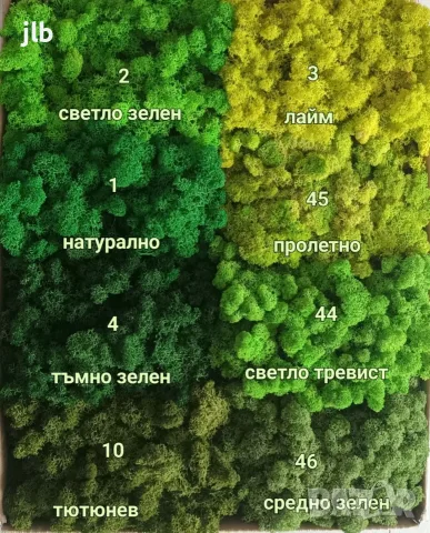Скандинавски мъх за живи стени, пана, декорации картини декоративен мъх, снимка 2 - Пана - 55911704