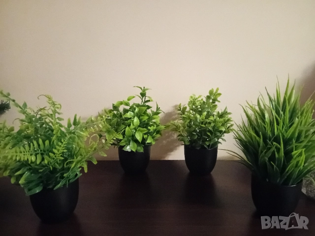 Комплект 4бр. изкуствени растения, снимка 3 - Декорация за дома - 52659005