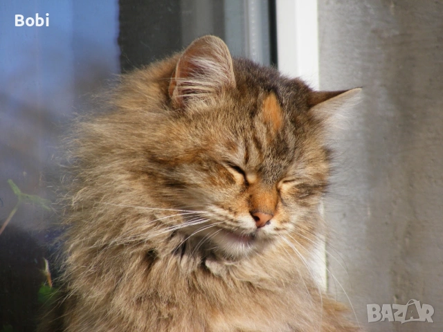 Fujifilm FinePix S5700, снимка 6 - Фотоапарати - 53655589