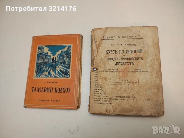 Курс по история на западно-европейска литература. Том 2. Литературата в ново време - Н.И. Стороженко