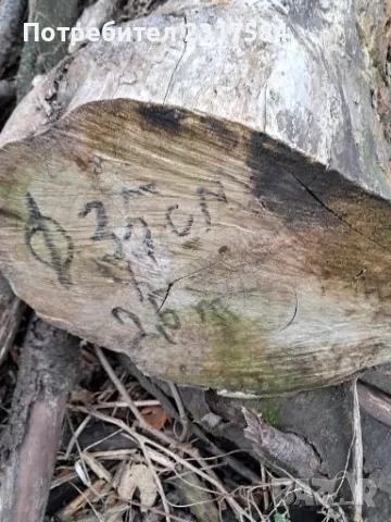 Продавам трупи и дънери от орех., снимка 8 - Строителни материали - 27503658