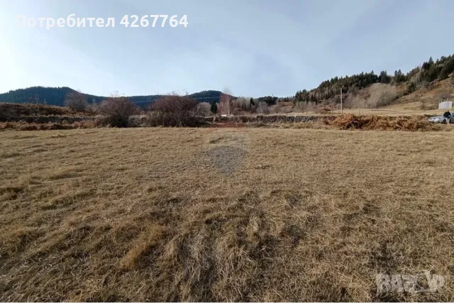 Поземлен имот в Езерово, снимка 5 - Парцели - 50132572